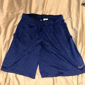 Nike Men's Dark Navy Performance Athletic Shorts